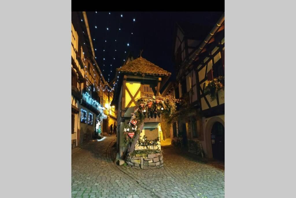 Gite A Eguisheim Proche De Colmar Et Kaysergberg. Exterior foto