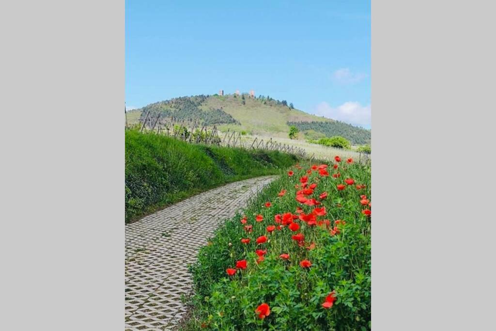 Gite A Eguisheim Proche De Colmar Et Kaysergberg. Exterior foto